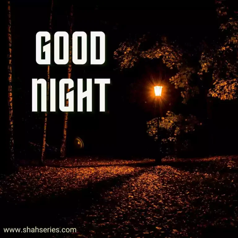 sad good night images in hindi