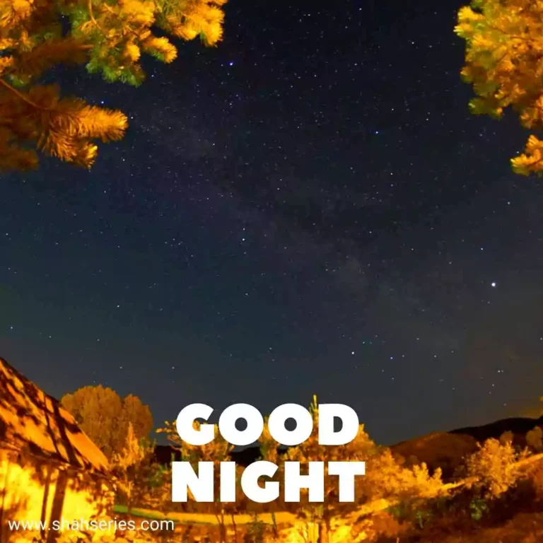 romantic good night image in hindi