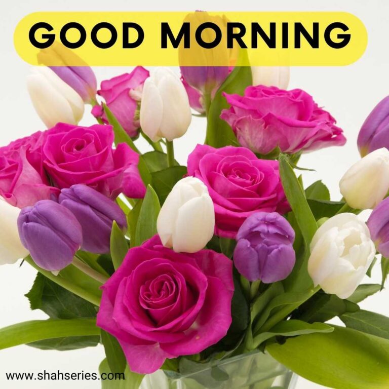 images of flowers with good morning quotes