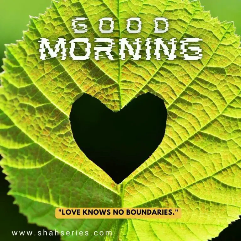 green leaf have heart for lover to wish good morning
