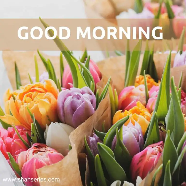 good morning images with lily flowers