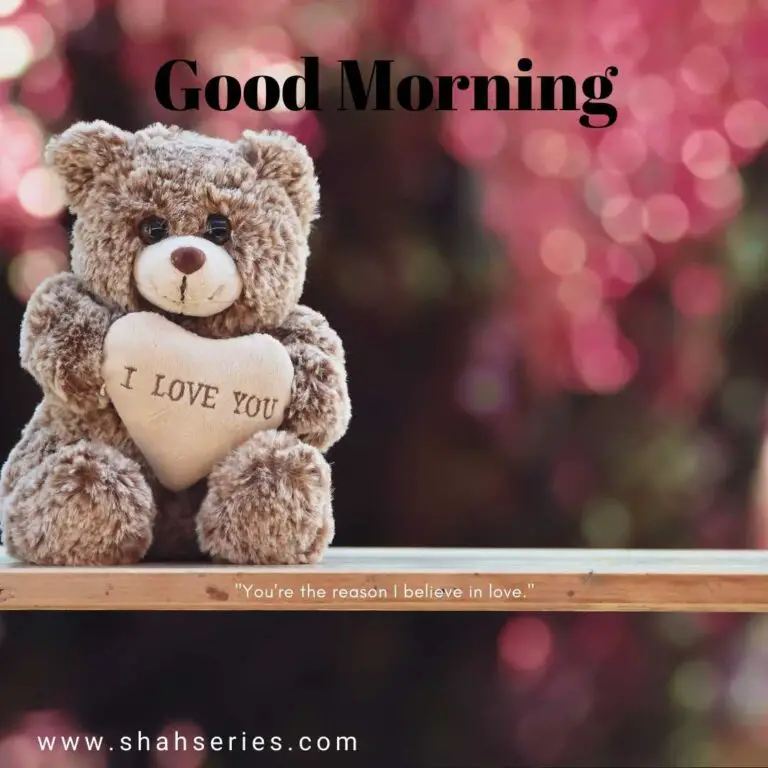 wish to your loved ones with teddy bear good morning