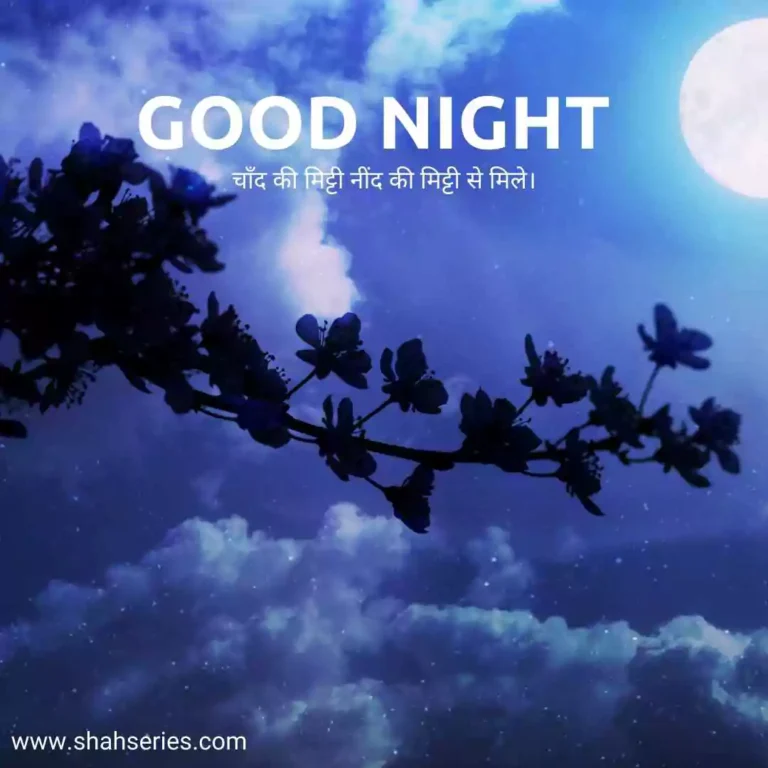 good night love shayari image in hindi