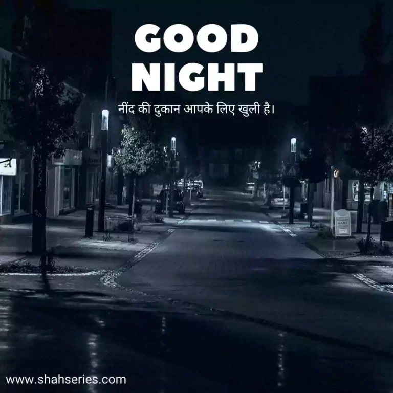 good night wishes in hindi with images