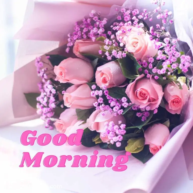 romantic good morning images with rose flowers