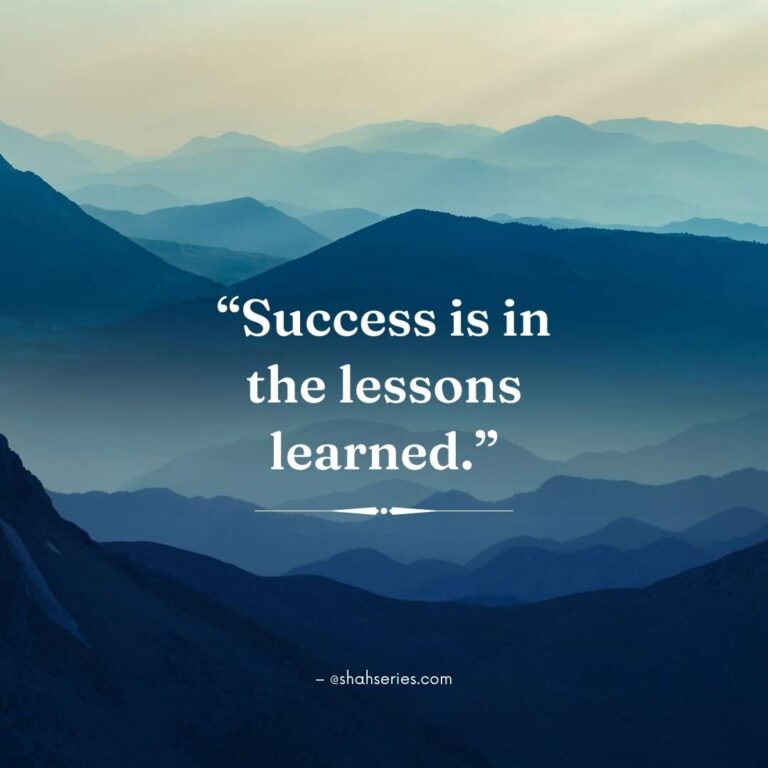 success is in the lessons learned