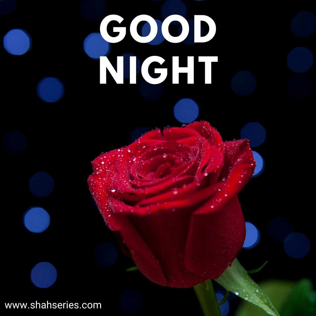 good night beautiful roses