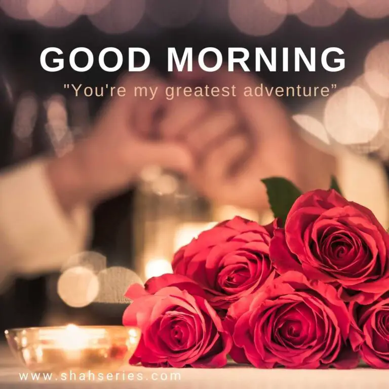 red rose and behind couple hand for morning wish