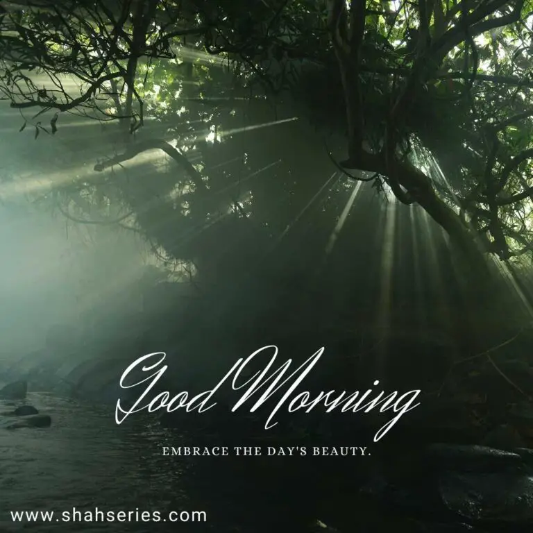 good morning forest image