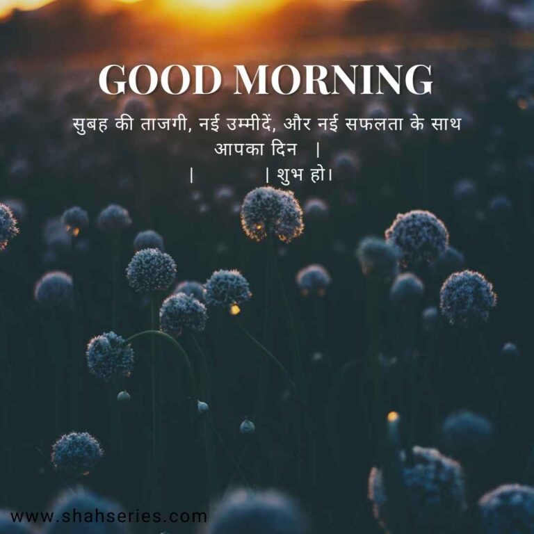 good morning quotes in hindi love