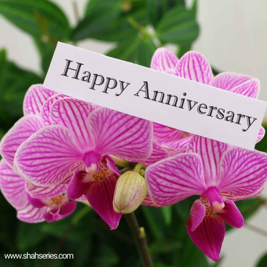 marriage anniversary in hindi